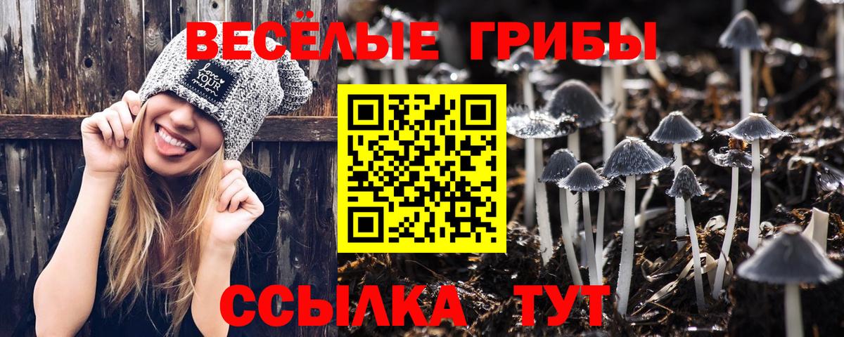 Псилоцибиновые грибы Cubensis  Галлюциногенные грибы прущие грибы  Дмитров  Вход с VPN 